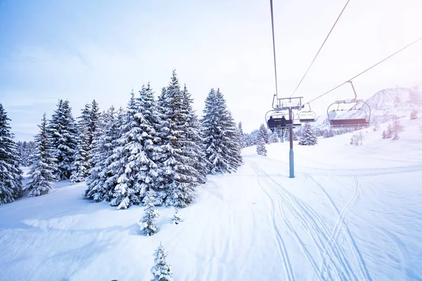 Winterdennenbos bedekt met sneeuw in de buurt van skilift — Stockfoto
