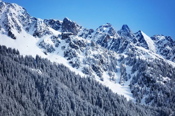 Gamma montuosa cime e abeti coperti di neve — Foto Stock
