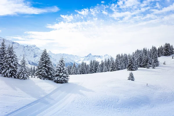 Forest after big snowfall in Mont-Blanc mountains Stock Picture