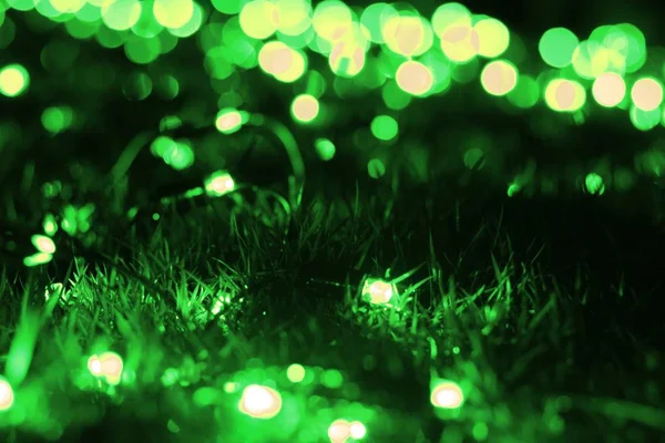 绿模糊的灯光散在草地上 — 图库照片