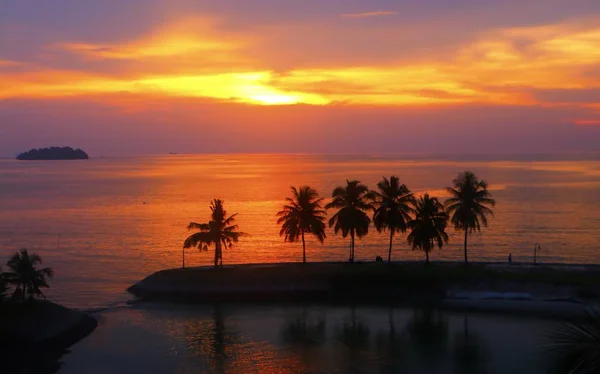 Zonsondergang Het Strand Met Palmbomen Silhouet — Stockfoto