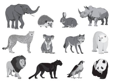 various wild animals