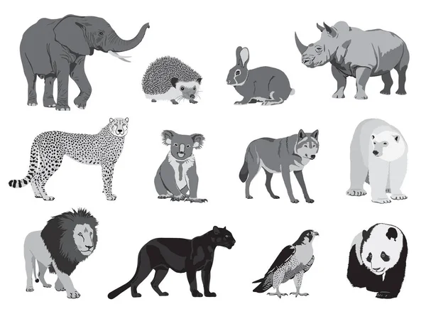 Various wild animals — Stock Vector