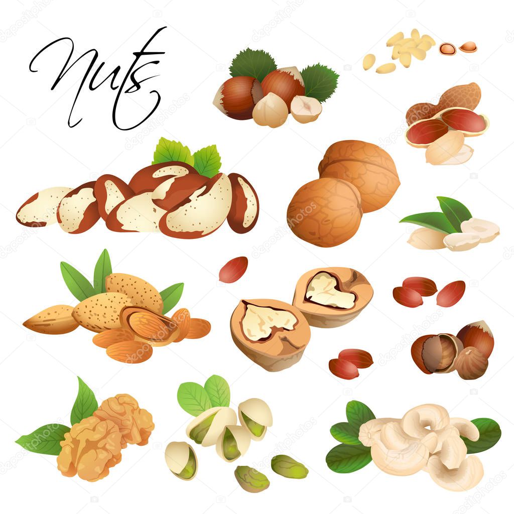 different nuts on white background