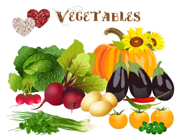 Eu amo legumes — Vetor de Stock
