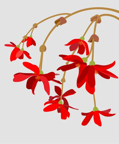 Κλαδί από κόκκινα λουλούδια — Διανυσματικό Αρχείο