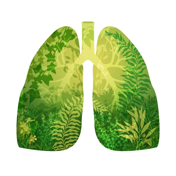 Bronches de forêt verte — Image vectorielle