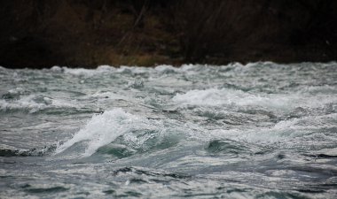 Sava Nehri ve onun temiz su