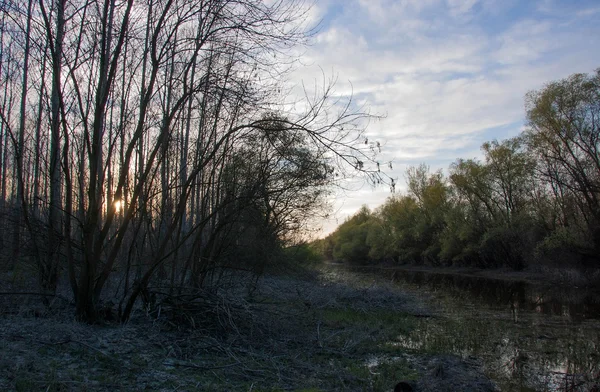 Sulak alanlar, bataklık Nehri boyunca