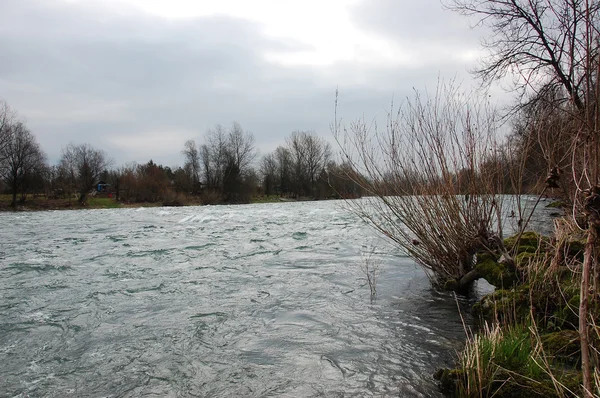 La rivière Sava et ses eaux claires — Photo