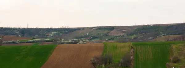 Prepared fields for planting — Stock Photo, Image