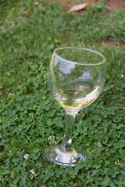 Bicchiere di vino in erba — Foto Stock