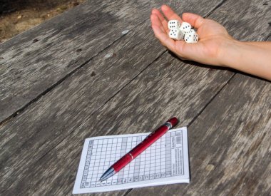 Yahtzee, zar oyunu