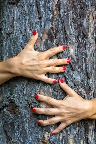 Hands hug a tree
