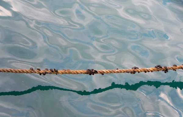 Corda para atracagem de barco — Fotografia de Stock