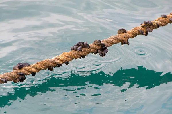 Corda para atracagem de barco — Fotografia de Stock