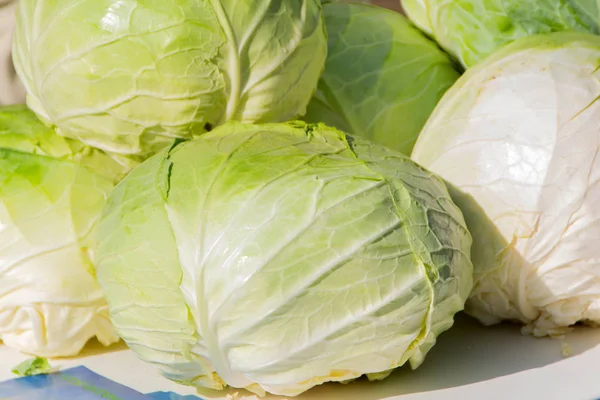 Cabbage at the market — Stock Photo, Image