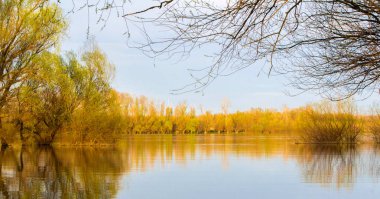 Doğa nehir kıyısında boyunca