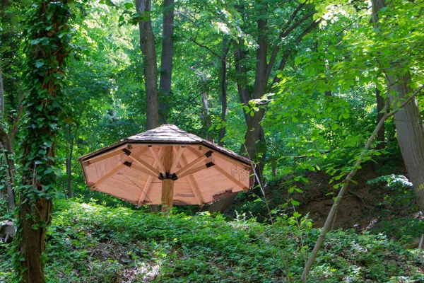 Drewniana parasol w lesie — Zdjęcie stockowe