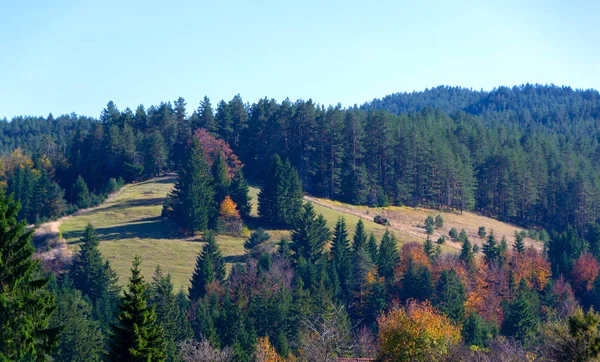 Letní zemědělská krajina. panoramatický pohled na kopcovité pole u — Stock fotografie