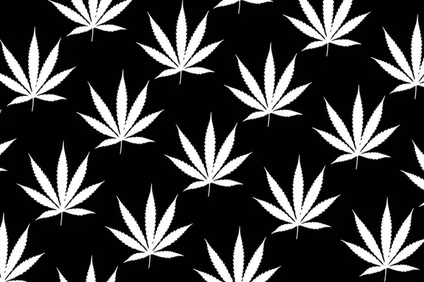 マリファナ大麻の葉の写真美しい背景 テクスチャ画像 — ストック写真