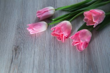 Lale bir ahşap masa üstüne