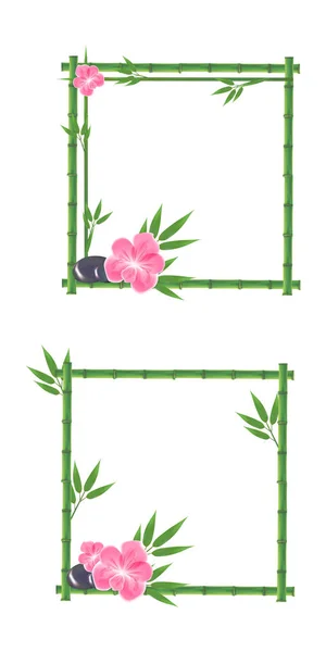 Vectorillustratie van bamboe, roze orchidee, bamboe frame, bamboe bladeren. — Stockvector