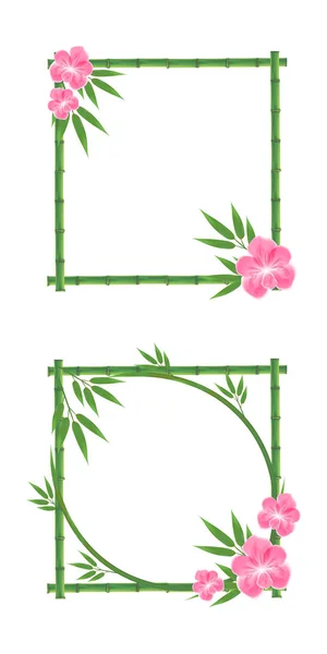 Vectorillustratie van bamboe, roze orchidee, bamboe frame, bamboe bladeren. — Stockvector