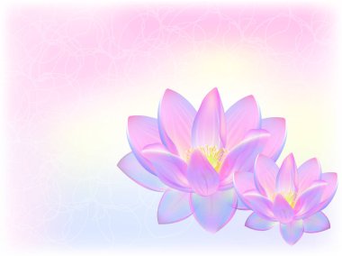 Vektör Lotus çiçekleri gerçekçi çizim. Arka plan, Spa, tropik çiçekler.