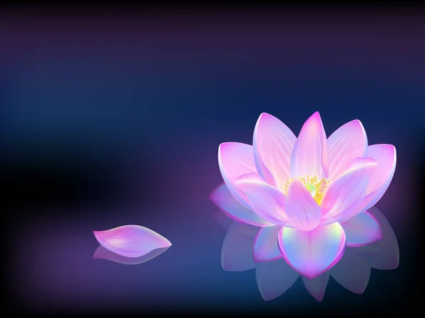 Ilustración realista vectorial de flores de loto. Fondo, Spa, flores tropicales . — Vector de stock