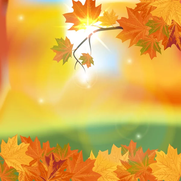 Fond d'automne avec des feuilles. Je retourne à l'école. Illustration vectorielle . — Image vectorielle