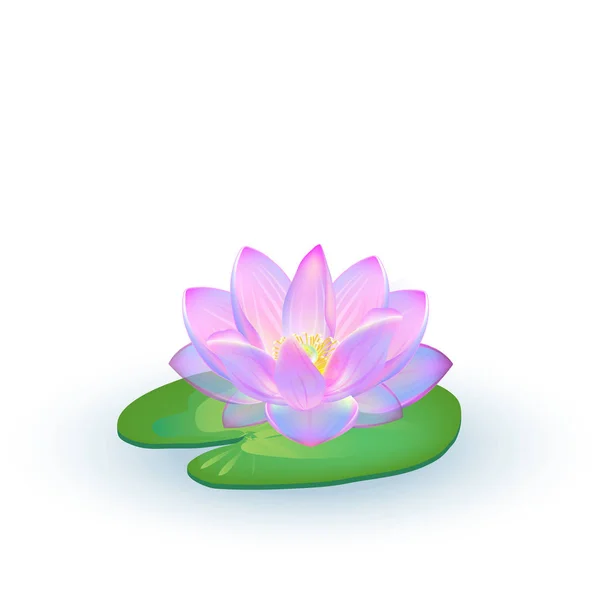 Realistische vectorillustratie van lotusbloemen en bladeren geïsoleerd op een witte achtergrond... Ontwerp voor natuurlijke cosmetica, gezondheidszorg en ayurveda producten, yogacentrum. — Stockvector