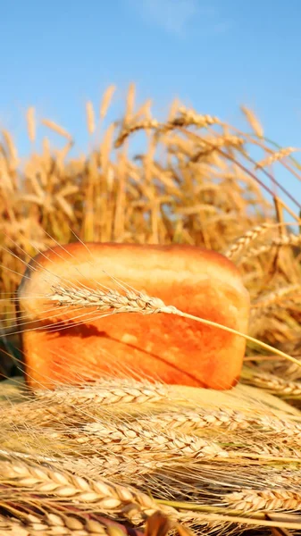 ขนมปังบนพื้นหลังของข้าวสาลีสุก ขนมปังบนพื้นหลังของหูข้าวสาลีและท้องฟ้าสีฟ้า . — ภาพถ่ายสต็อก