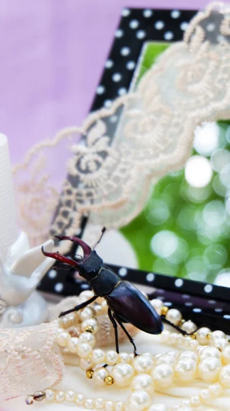 背景为镜子，相框，老式的吊坠，珠的干玫瑰，面料是粉红色，淡紫色，香槟，白色. — 图库照片