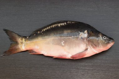 Karanlık bir gemide yalan taze ayna sazan.