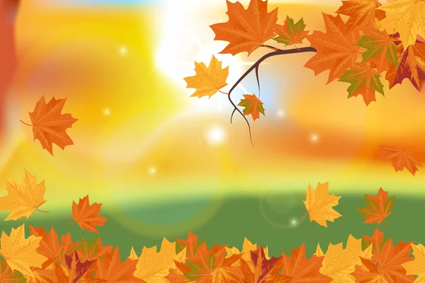 Folhas de bordo de outono nos ramos de árvores folhas caídas folhas caindo Rowan — Vetor de Stock