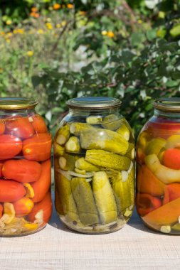 Kavanoz korunmuş sebze, domates, salatalık, Bulgar biber. Ahşap bir masaya bir arka bahçe