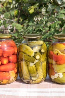 Sebze konserveler. Domates, biber. Cam kapaklı.