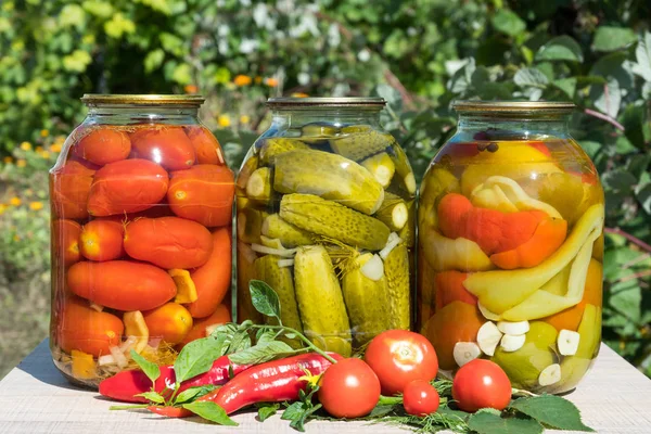 kavanoz korunmuş sebze, domates, biber. Ahşap bir masaya Bahçe arka planı.