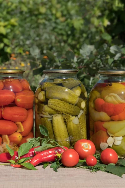 Баночки консервованих овочів, помідорів, перцю. На дерев'яному столі на фоні саду . — стокове фото
