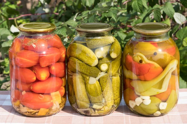 Sebze konserveler. Domates, biber. Cam kapaklı.