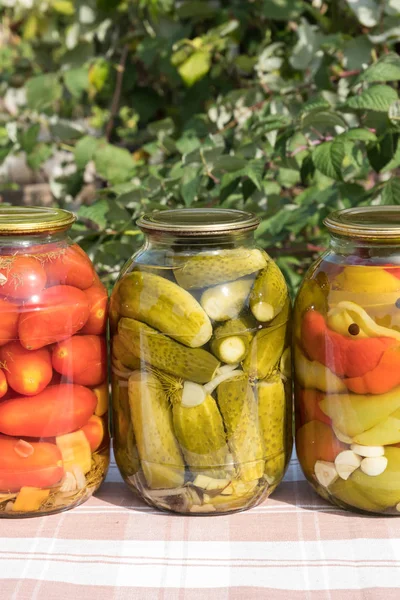 Sebze konserveler. Domates, biber. Cam kapaklı.