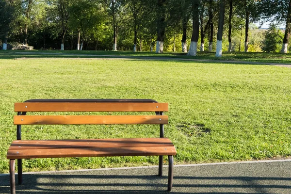 在一个城市公园的木长凳在草和树的背景. — 图库照片