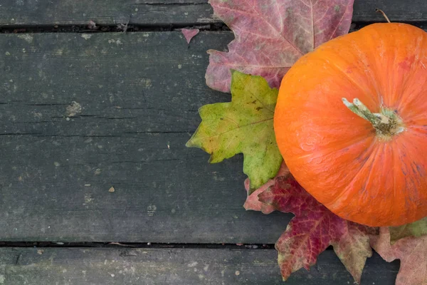 Bahçedeki eski ahşap masa olgun Kabak elma üzüm sonbahar yaprakları