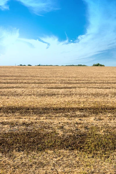 Hasat tekniği sonra olgun soya fasulyesi değil toplanan bakla.