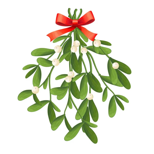 Branch of mistletoe with berries and red bow. A bouquet of Christmas. — Stock Vector