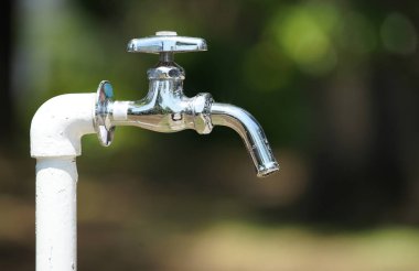 Güneşli bir günde parkta çeşme içmek.                               