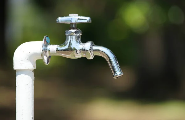 Güneşli bir günde parkta çeşme içmek.                               