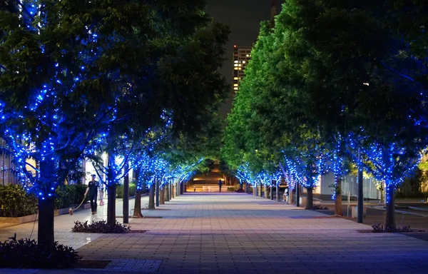 Night View Trees Shining Blue Light City Street — Stock Photo, Image