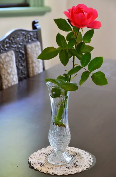 Decoration of the red rose flower in the room